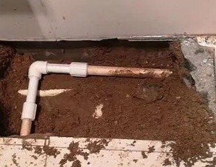 陵川测漏水哪家好