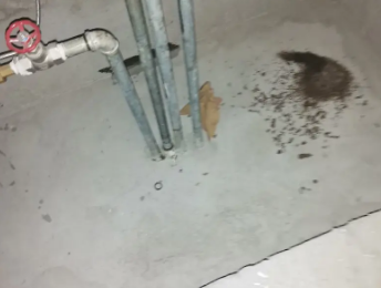 陵川卫生间测漏水价格明细